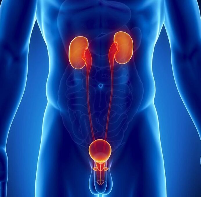 Ποιες χρόνιες ασθένειες μπορούν να επηρεάσουν την ανδρική ισχύ